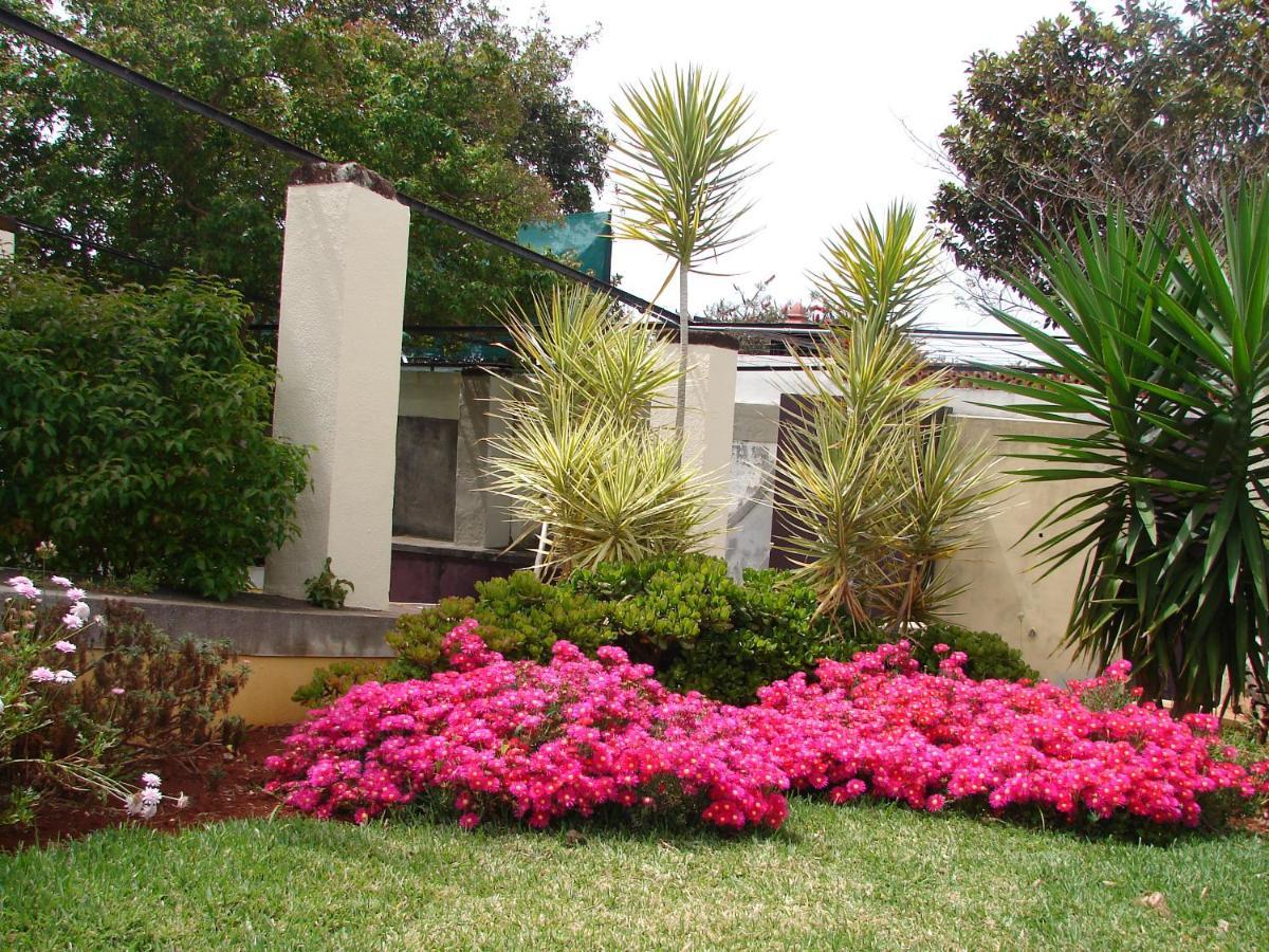 Private Pool Apt. With Great View Funchal  Eksteriør bilde