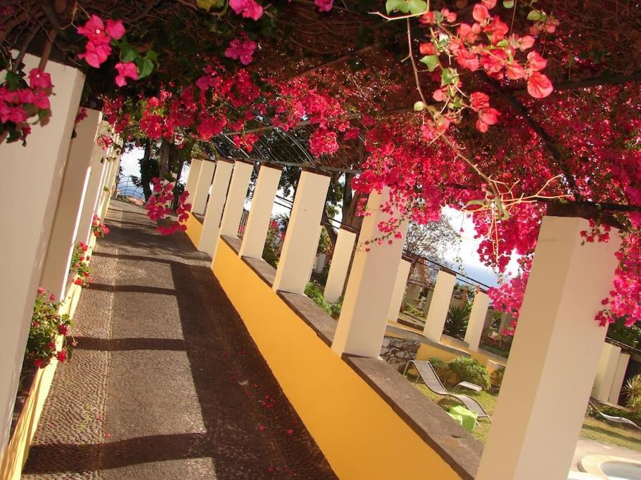 Private Pool Apt. With Great View Funchal  Eksteriør bilde