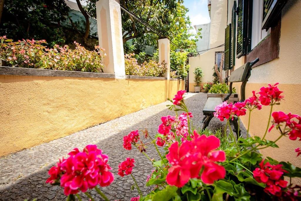 Private Pool Apt. With Great View Funchal  Eksteriør bilde